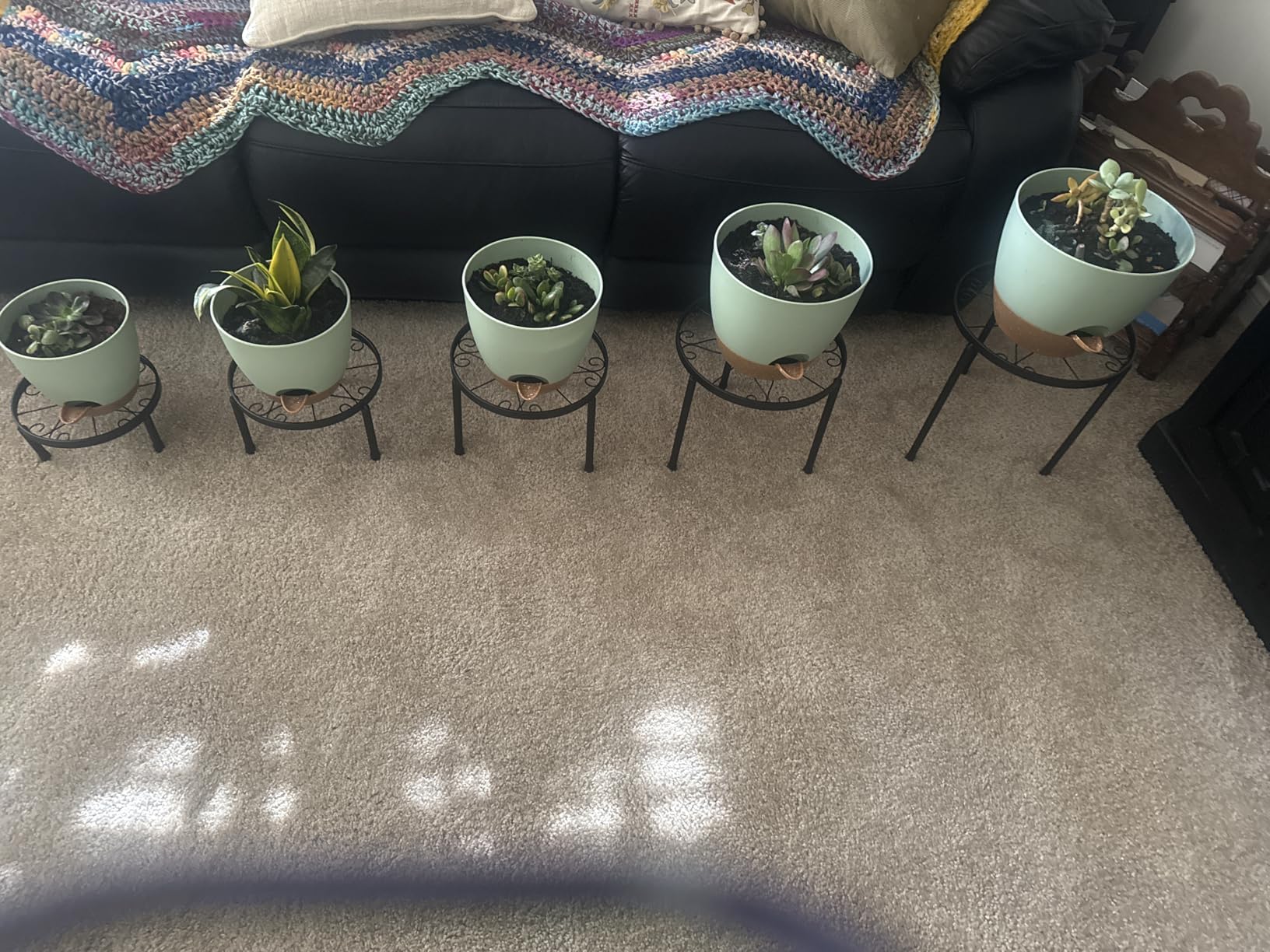 Plant Pots 10/9/8/7.5/7 Inch Self Watering Pots, Set of 5 Plastic Planters with Drainage Holes and Saucers,Plastic Flower Pots,Nursery Planting Pot for Indoor Out Door Plants(White) Customer Review Plant Pots 10/9/8/7.5/7 Inch Self Watering Pots, Set of 5 Plastic Planters with Drainage Holes and Saucers,Plastic Flower Pots,Nursery Planting Pot for Indoor Out Door Plants(White) - Customer Photo 1