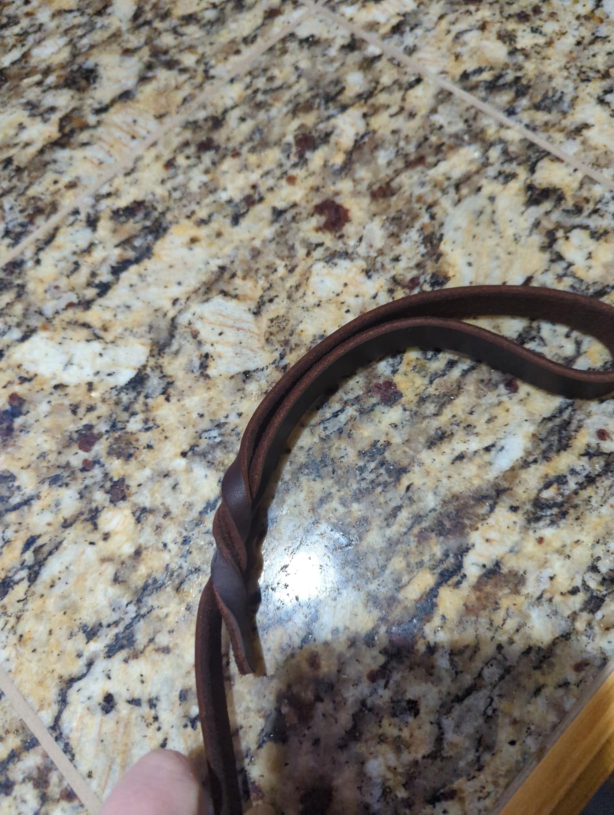 Leather Dog Leash 6ft x 3/4 inch,Strong Heavy Duty Genuine Leather Braided Dog Training Leash, Soft and Comfortable Leather Leash Customer Review Leather Dog Leash 6ft x 3/4 inch,Strong Heavy Duty Genuine Leather Braided Dog Training Leash, Soft and Comfortable Leather Leash - Customer Photo 1