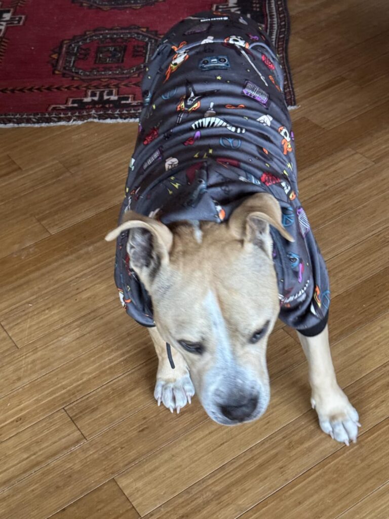Spark Paws Dog Hoodie – Premium Dog Sweater for Small, Medium, and Large Dogs | Warm Outfits for French Bulldogs, Pitbull, Puppy, Winter Jacket Alternative - Snow Cone - L Customer Review Best Dog Hoodie
