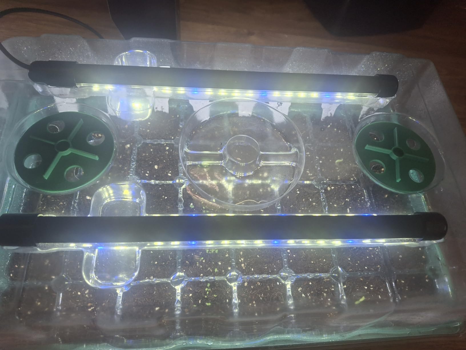 Sondiko Seed Starter Tray with Grow Light, 80 Cells Seed Starter Kit with Humidity Dome, Adjustable Brightness Plant Starter Trays, Indoor Plants Germination Kit(2 Pack) - Customer Photo 1