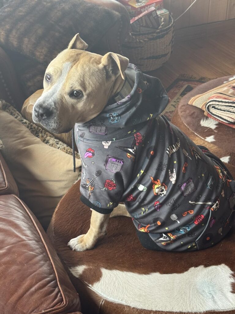 Spark Paws Dog Hoodie – Premium Dog Sweater for Small, Medium, and Large Dogs | Warm Outfits for French Bulldogs, Pitbull, Puppy, Winter Jacket Alternative - 90s Retro Sky Dye - L Customer Review Best Dog Hoodie