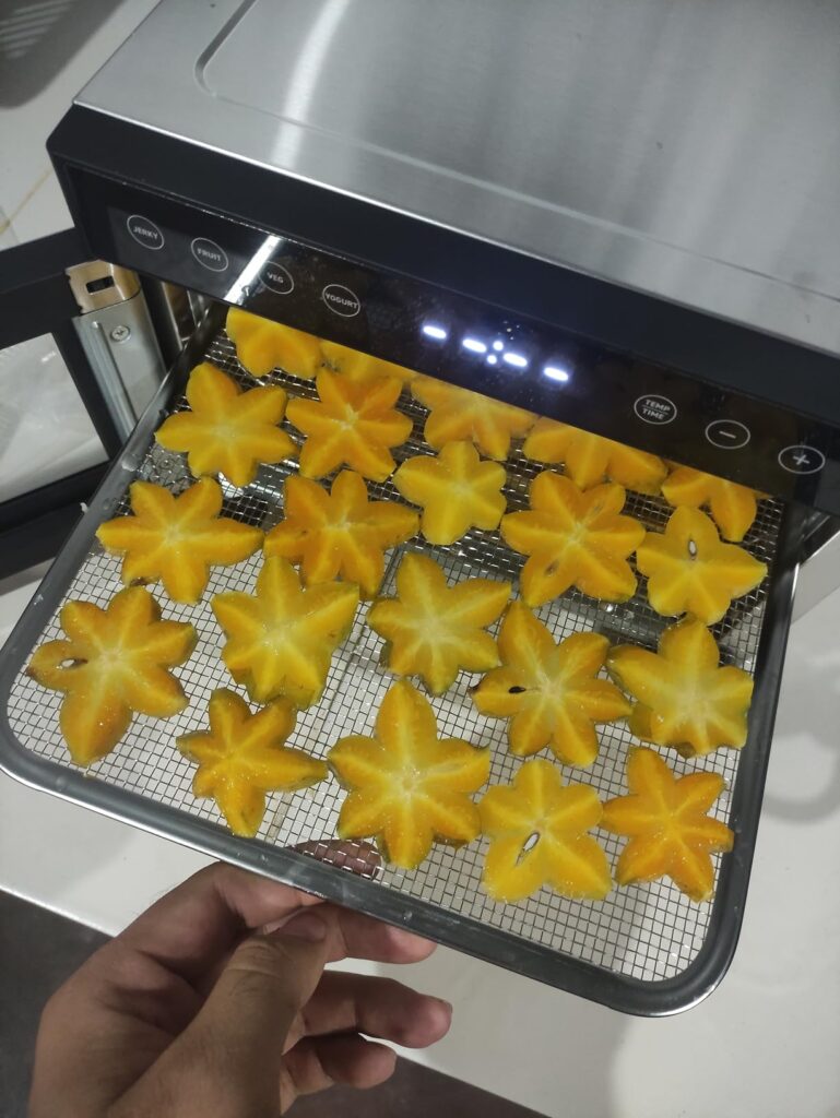 COSORI Food Dehydrator for Jerky, 176°F Temperature Control, 5 Stainless Steel Trays Dryer Machine, 4 Presets, 48H Timer, for Dog Treats, Meat, Fruit, Veggies, Snacks,Bright-Silver Customer Review Best Food Dehydrator