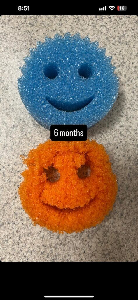 Best Kitchen Sponges