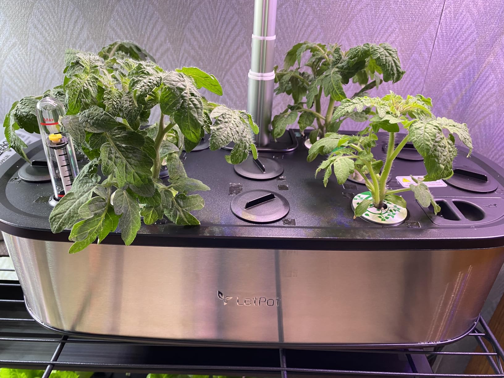 LetPot LPH-Max Hydroponics Growing System Kit, 21 Pods APP & WiFi Automatic Controlled Smart Indoor Garden with 36W LED Grow Light, Auto Drip Irrigation Kits, Self-Managed Nurturing & Watering Customer Review LetPot LPH-Max Hydroponics Growing System Kit, 21 Pods APP & WiFi Automatic Controlled Smart Indoor Garden with 36W LED Grow Light, Auto Drip Irrigation Kits, Self-Managed Nurturing & Watering - Customer Photo 1