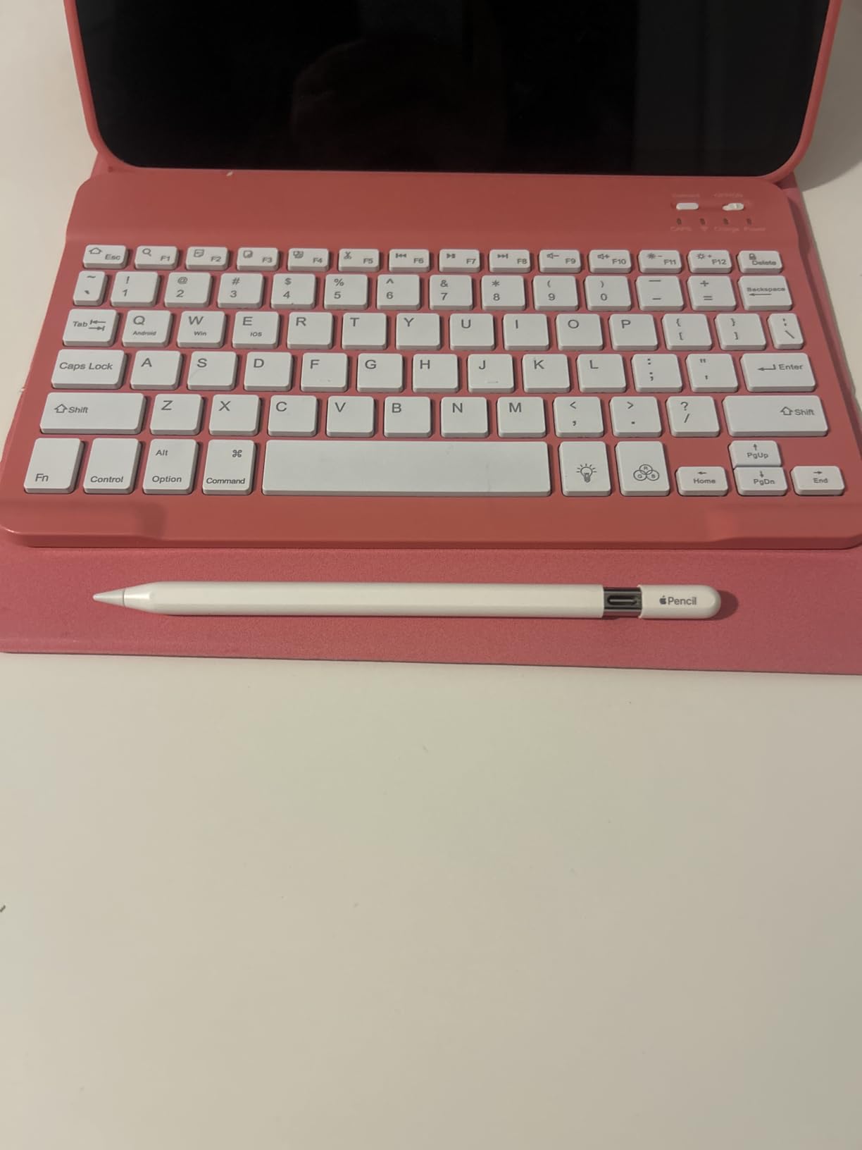 Apple Pencil (USB-C): Device Compatibility Check Required - Pixel-Perfect Precision, Tilt Sensitivity, Perfect for Note-Taking, Drawing, and Signing Documents. Charges and Pairs with USB-C customer photo 1