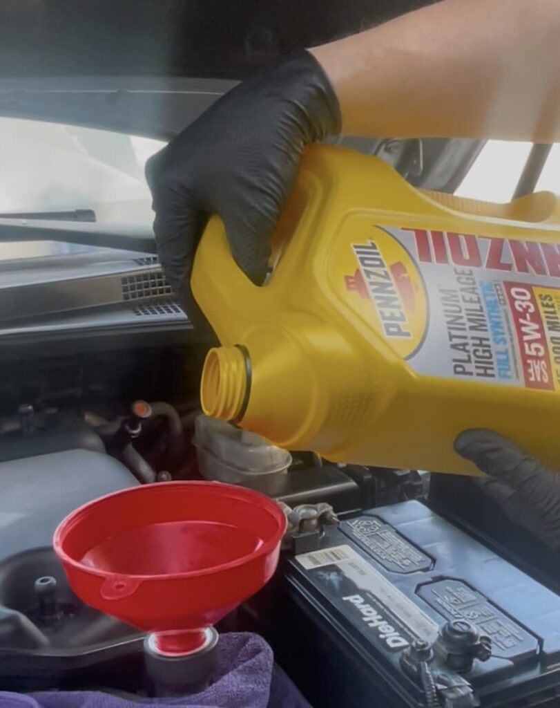 Best Disposable Gloves