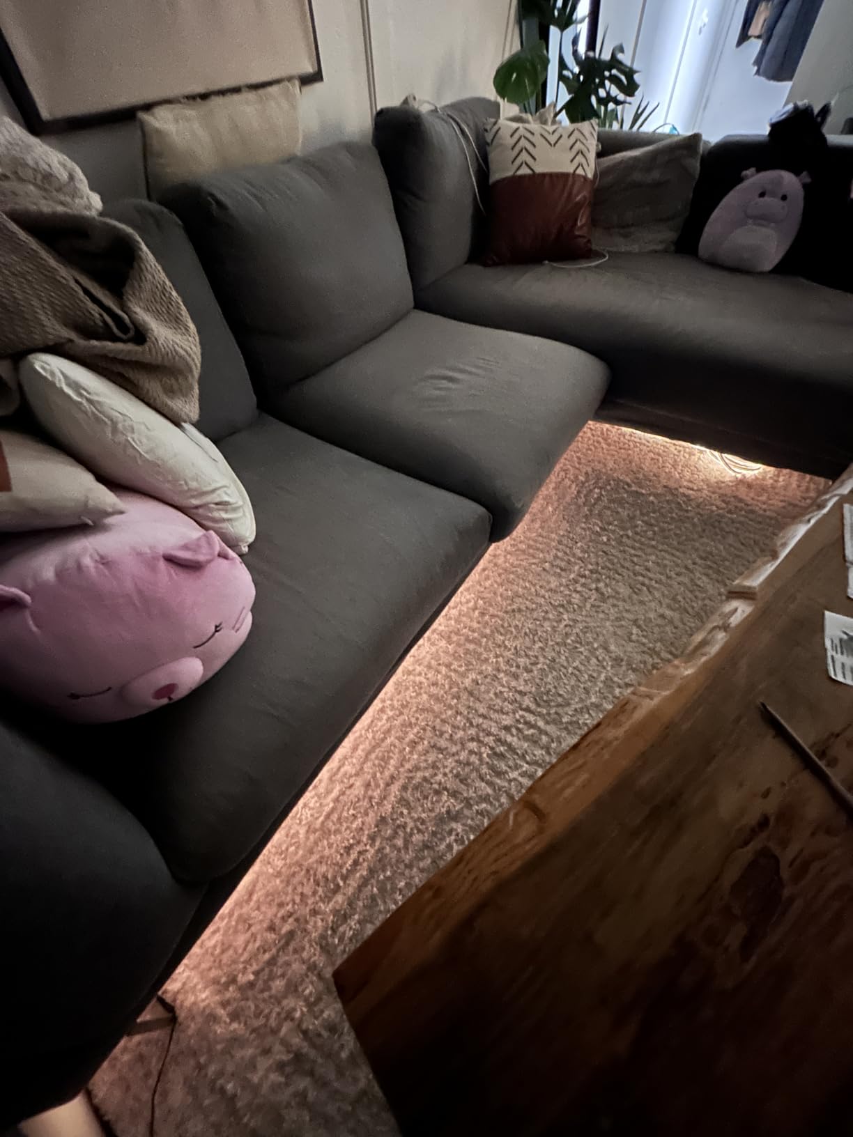 AILBTON 100Ft Neon Rope Lights,Flexible Led Rope Lights Control with App/Remote,Multiple Modes Music Sync Gaming RGB Led Neon Lights for Bedroom Outdoor Customer Review AILBTON 100Ft Neon Rope Lights,Flexible Led Rope Lights Control with App/Remote,Multiple Modes Music Sync Gaming RGB Led Neon Lights for Bedroom Outdoor - Customer Photo 1