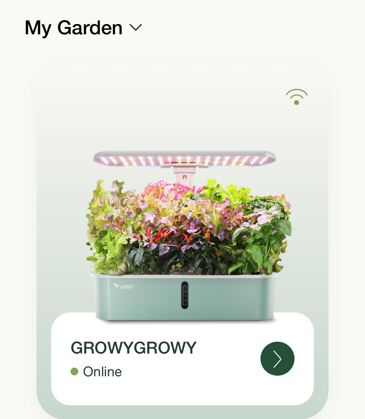LetPot LPH-Air Hydroponics Growing System Kits, APP & WiFi Controlled Smart Indoor Garden with Adjustable 24W Grow Light Full Spectrum, 10 Pods Planter Indoor Gardening for Gifts, Kitchen, Vegetable Customer Review LetPot LPH-Air Hydroponics Growing System Kits, APP & WiFi Controlled Smart Indoor Garden with Adjustable 24W Grow Light Full Spectrum, 10 Pods Planter Indoor Gardening for Gifts, Kitchen, Vegetable - Customer Photo 2