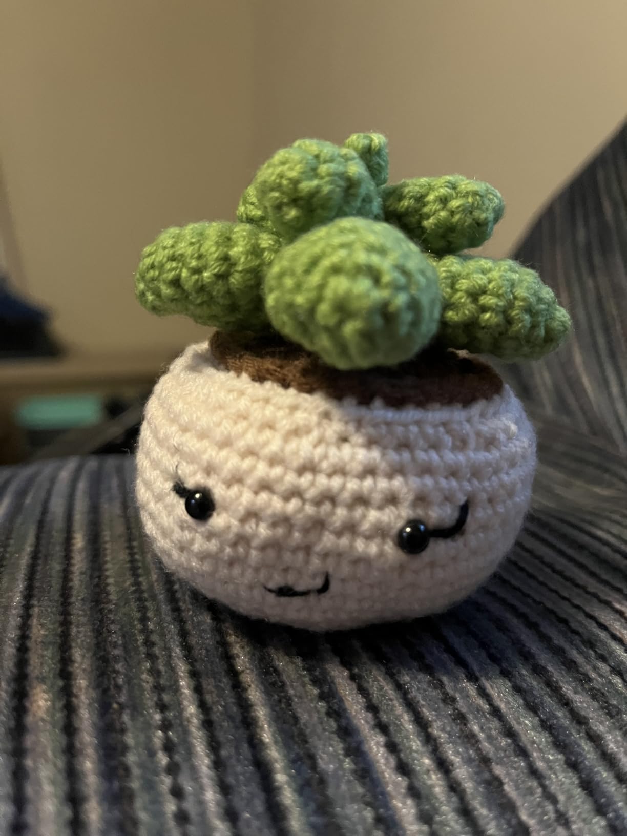 Crochetta Crochet Kit for Beginners, Crochet Starter Kits for Adults, Amigurumi Craft Knitting Crocheting Kits with Step-by-Step Video Tutorials, 6 Pc Hanging Potted Plants Family(40%+ Yarn Customer Review Crochetta Crochet Kit for Beginners, Crochet Starter Kits for Adults, Amigurumi Craft Knitting Crocheting Kits with Step-by-Step Video Tutorials, 6 Pc Hanging Potted Plants Family(40%+ Yarn - Customer Photo 2