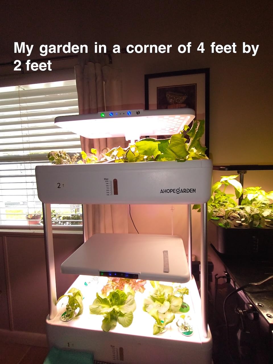 Ahopegarden Hydroponics Growing System Indoor Garden, 44 Pods Plant Herb Garden Germination Kit with LED Grow Light, 20L Double-Layer Large Capacity Hydrophonic Planter Grower for Vegetable Fruit Customer Review Ahopegarden Hydroponics Growing System Indoor Garden, 44 Pods Plant Herb Garden Germination Kit with LED Grow Light, 20L Double-Layer Large Capacity Hydrophonic Planter Grower for Vegetable Fruit - Customer Photo 1