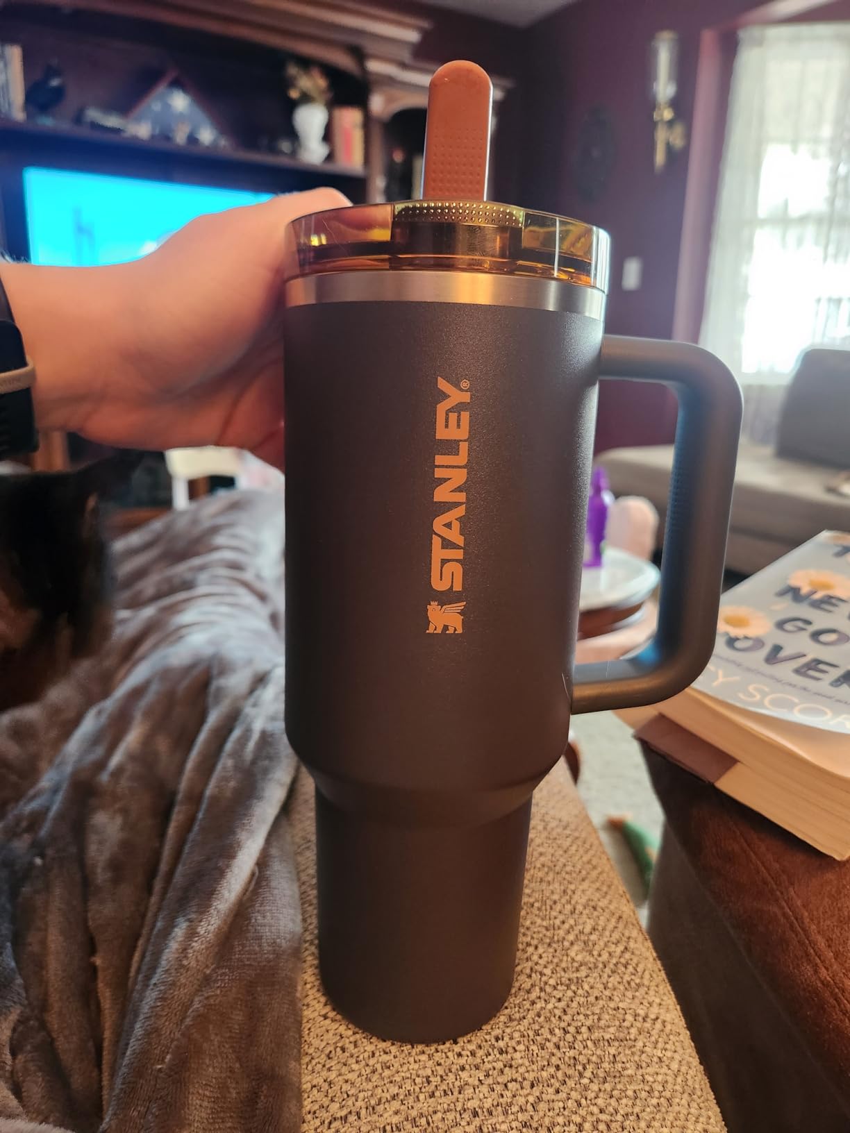STANLEY Quencher ProTour Flip Straw Tumbler with Leakproof Lid | Built-In Straw & Handle | Cupholder Compatible for Travel | Insulated Stainless Steel Cup | BPA-Free - Customer Photo 1