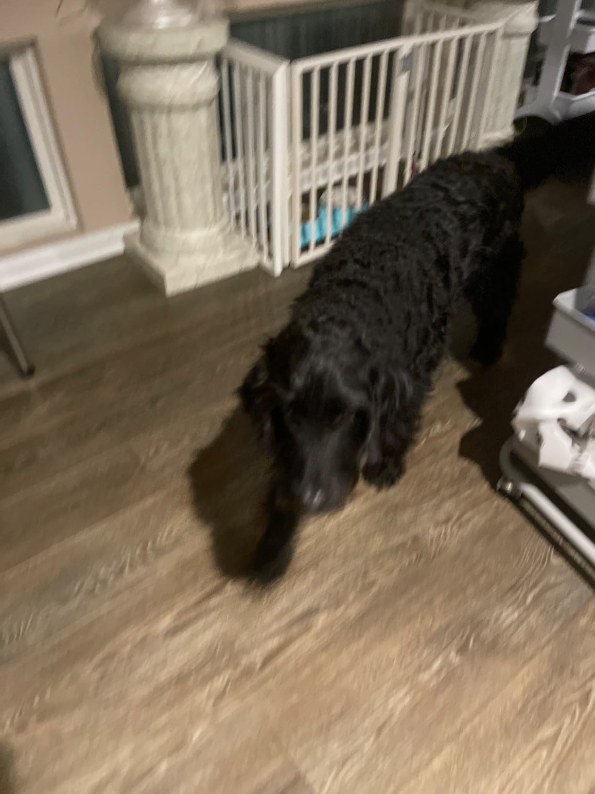 Pet-Friendly Ice Melt - Fast Acting Magnesium Chloride Formula, Safer for Pets & Surfaces, 15lb Bucket - Customer Photo 1
