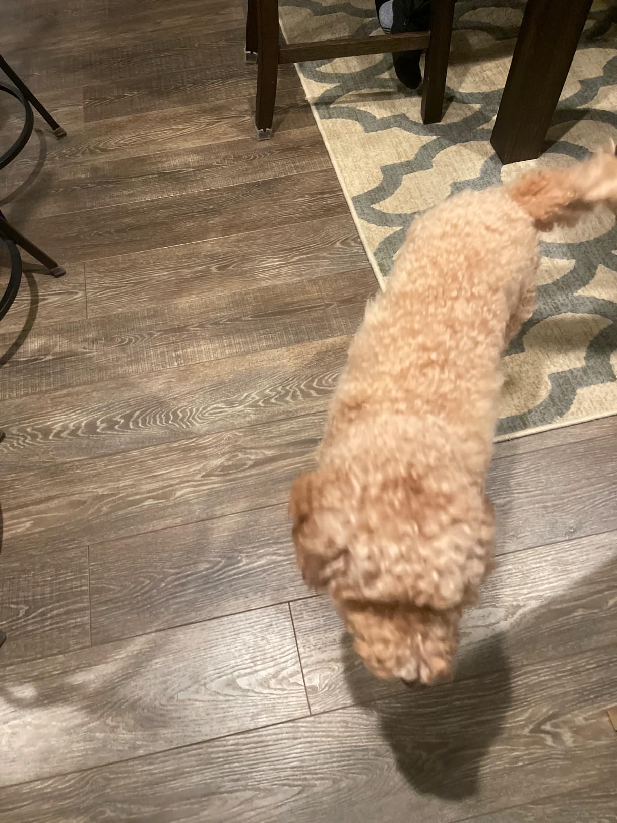 Pet-Friendly Ice Melt - Fast Acting Magnesium Chloride Formula, Safer for Pets & Surfaces, 15lb Bucket - Customer Photo 2