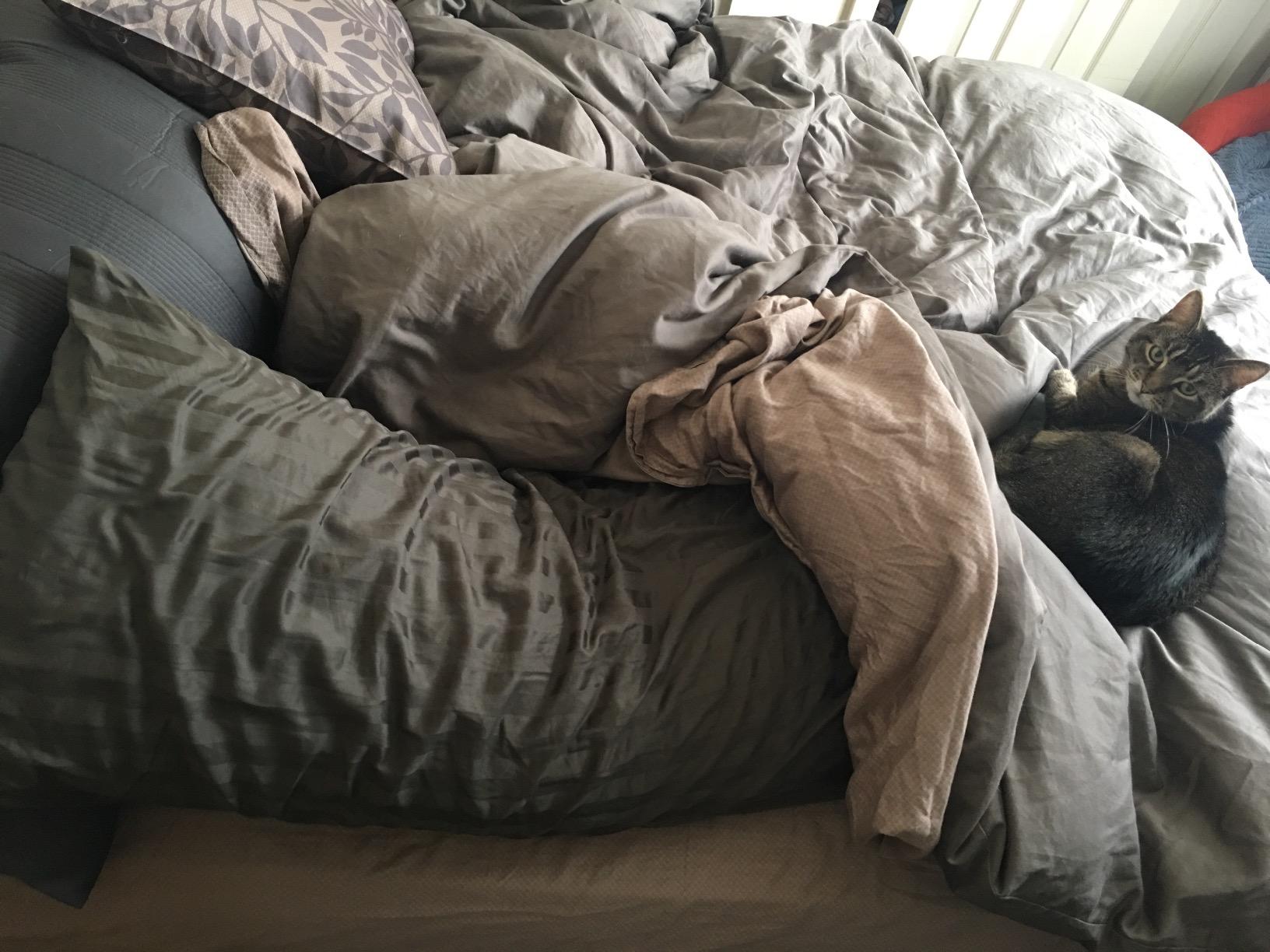 Coop Home Goods Cool+ Adjustable Cooling Body Pillow, 18x52, Cooling Gel Memory Foam & Microfiber, Side Sleeper & Pregnancy Pillow with Cool-to-The-Touch Washable Cover, Breathable Full Body Support - Customer Photo 1