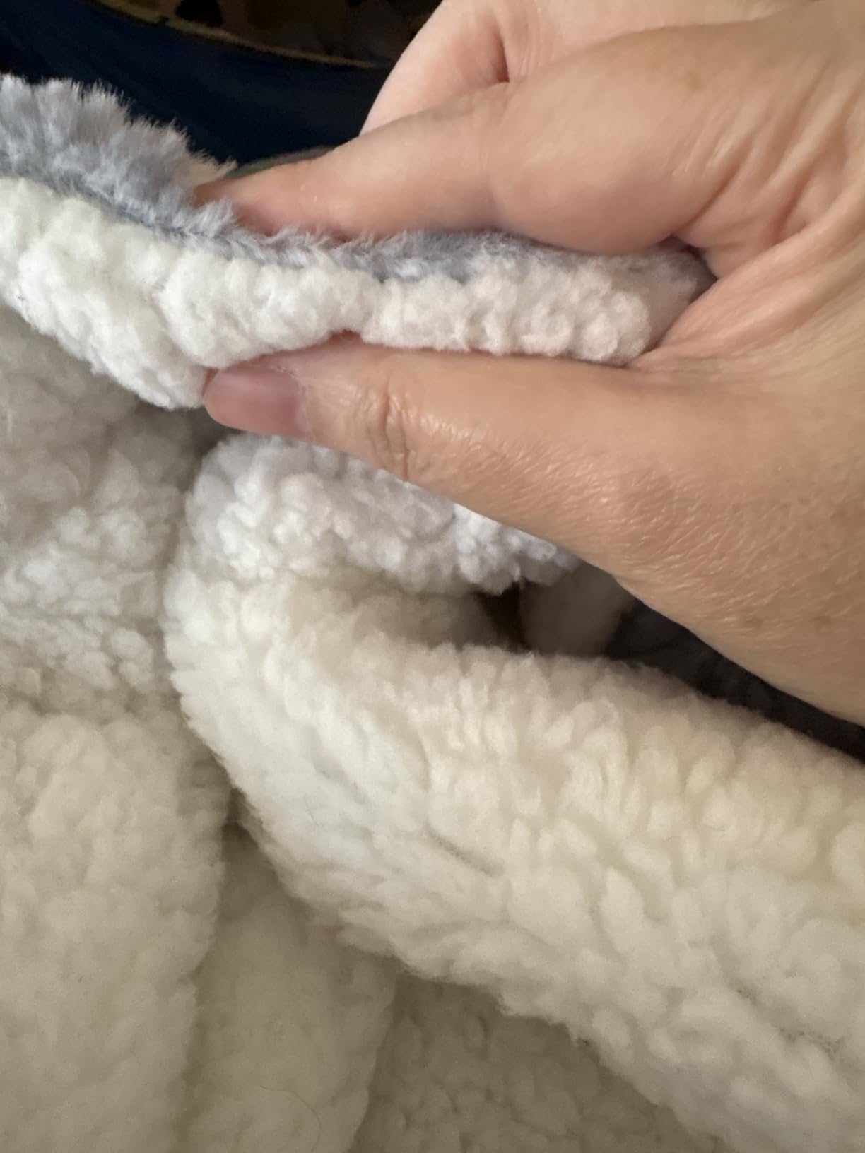 Sealy Electric Blanket Full Size 72 Sealy Electric Blanket Full Size 72