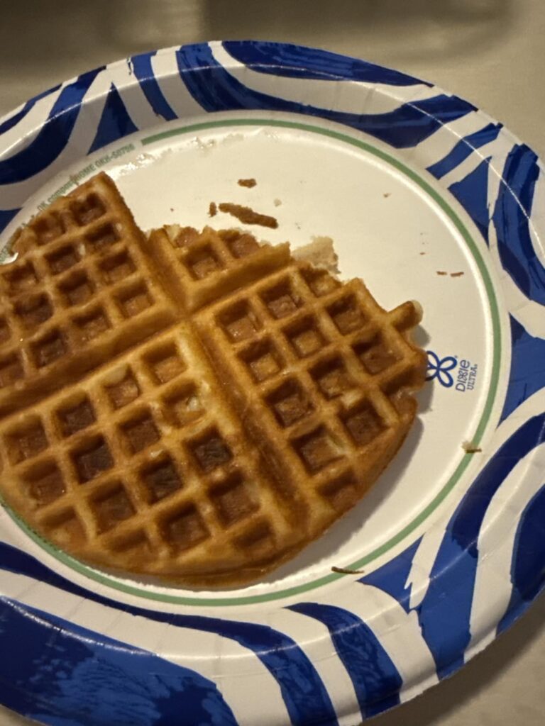 Best Waffle Maker