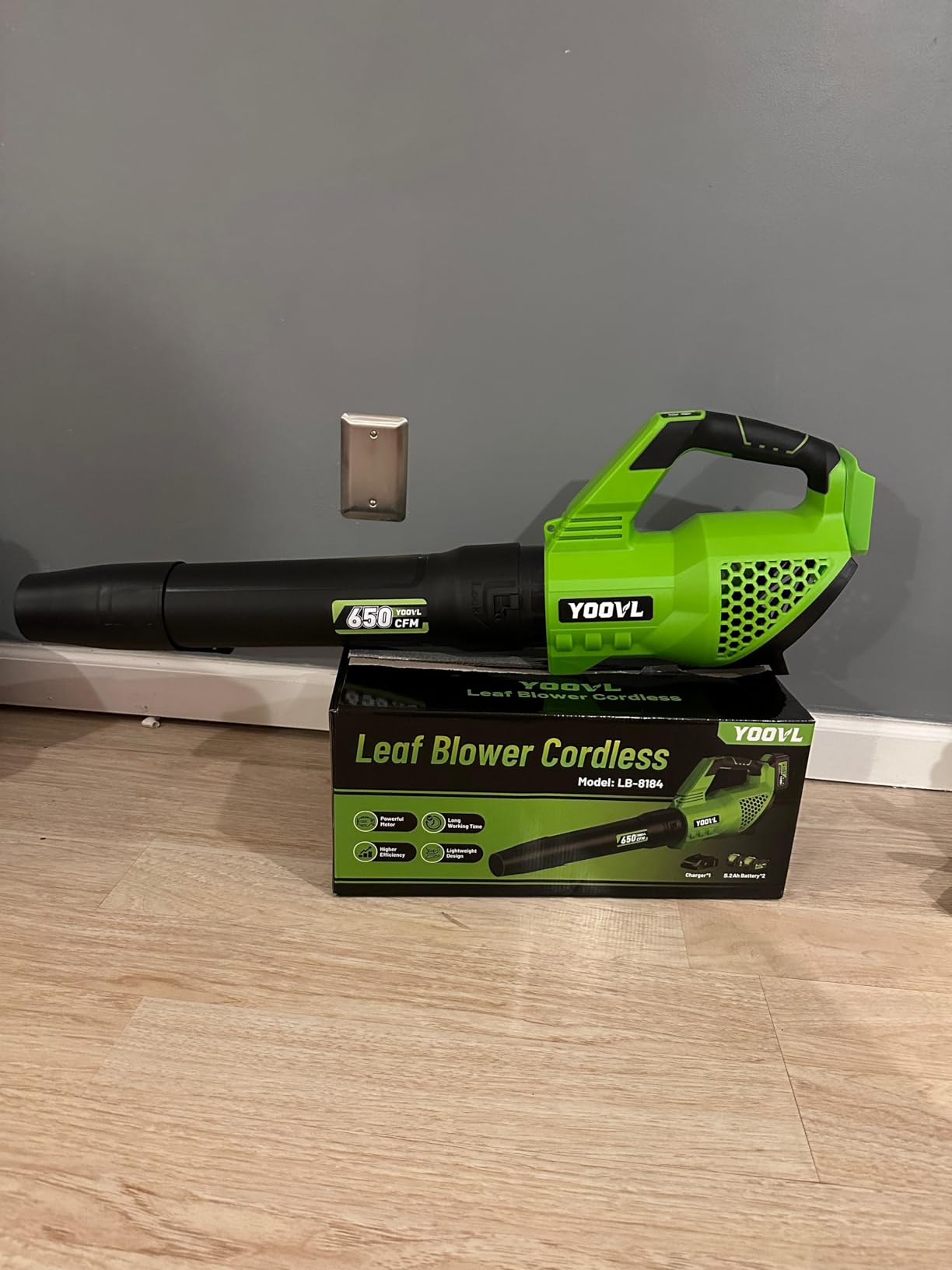 Leaf Blower Cordless, 650CFM Electric Leaf Blowers with 2 x 5.2Ah Batteries and Charger, 3 Speed Modes, 1 x Adjustable Shoulder Strap, Powerful Blowers for Lawn Care, Patio, Dust, Blowing Leaves Customer Review Leaf Blower Cordless, 650CFM Electric Leaf Blowers with 2 x 5.2Ah Batteries and Charger, 3 Speed Modes, 1 x Adjustable Shoulder Strap, Powerful Blowers for Lawn Care, Patio, Dust, Blowing Leaves - Customer Photo 1