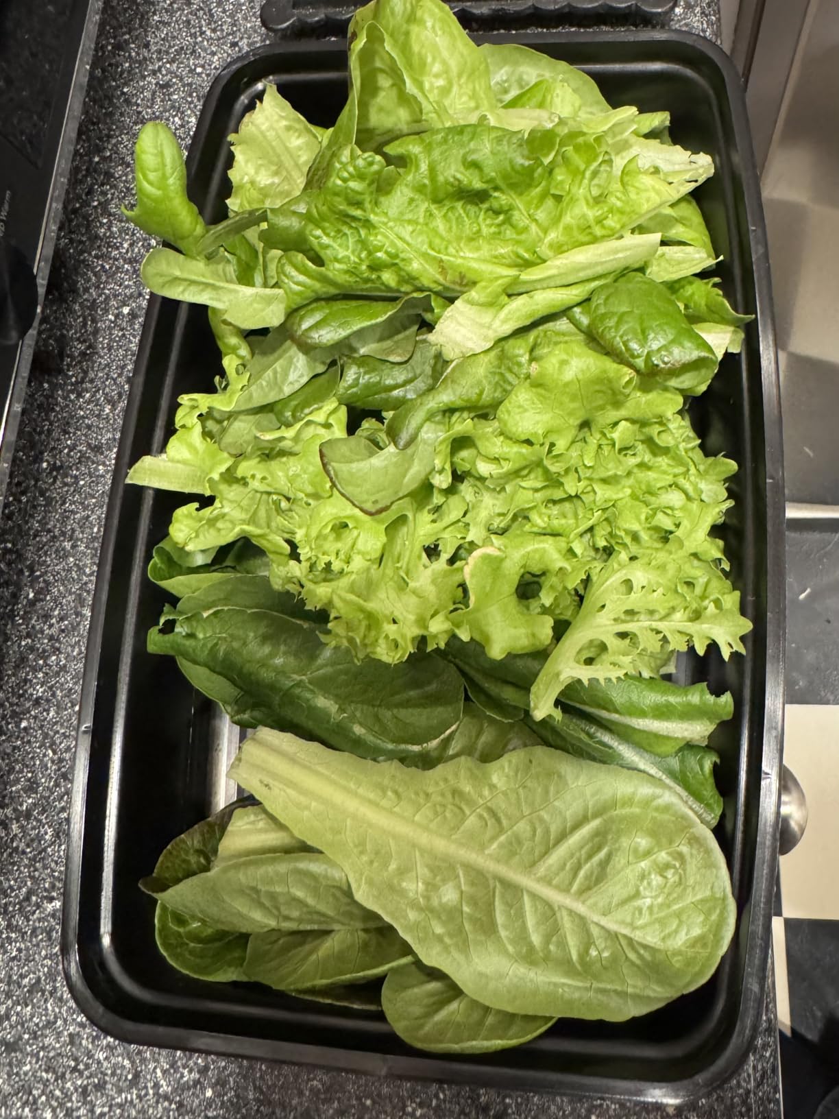 Gardyn Studio 1 Vertical Hydroponics Growing System Kit - 16 Non-GMO Plants, Herbs, Vegetables - Tower Garden - Hydroponic Herb Garden Planter Indoor Kit - Indoor Gardening System with LED Grow Lights Customer Review Gardyn Studio 1 Vertical Hydroponics Growing System Kit - 16 Non-GMO Plants, Herbs, Vegetables - Tower Garden - Hydroponic Herb Garden Planter Indoor Kit - Indoor Gardening System with LED Grow Lights - Customer Photo 2