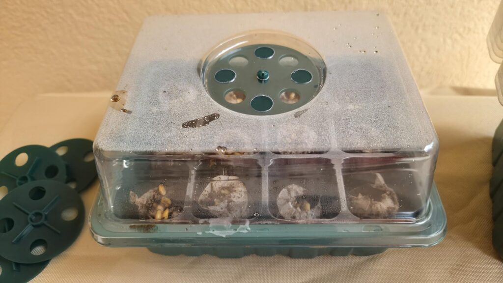 Best Seed Starter Kit