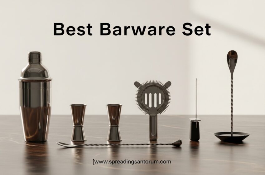  10 Best Barware Set (June 2026) Cocktail Shaker Kits Tested