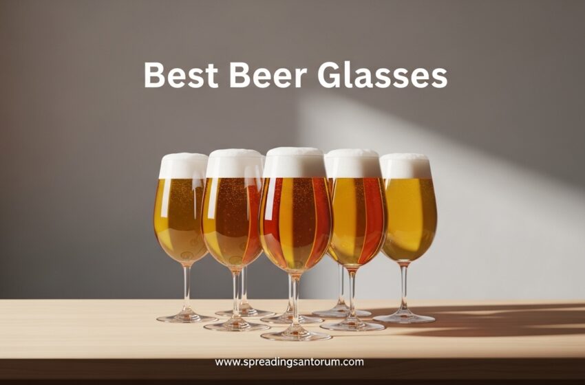  10 Best Beer Glasses (June 2026) Expert Tested