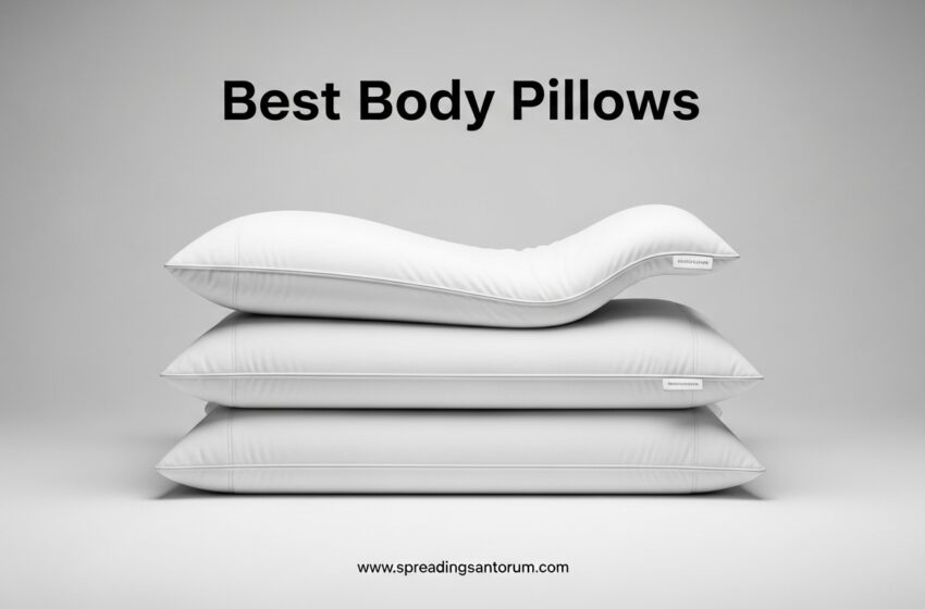  8 Best Body Pillows (June 2026) Tested