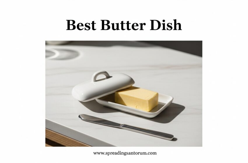  8 Best Butter Dish (June 2026)  Freshness & Spreadability