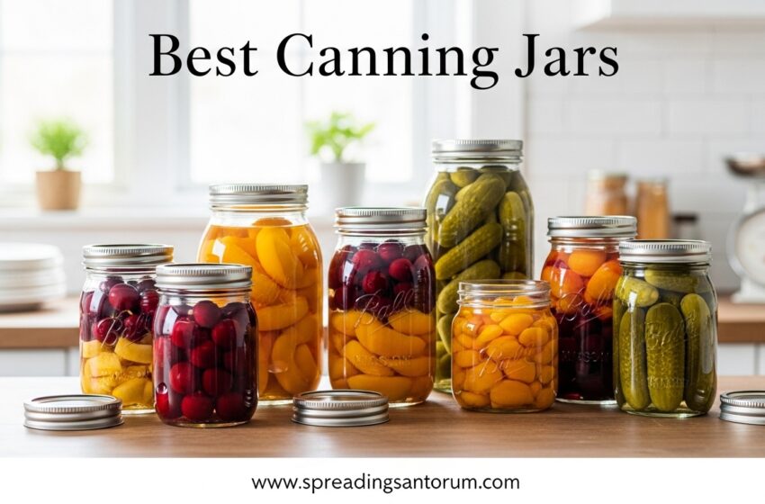  12 Best Canning Jars (June 2026) Expert Reviews