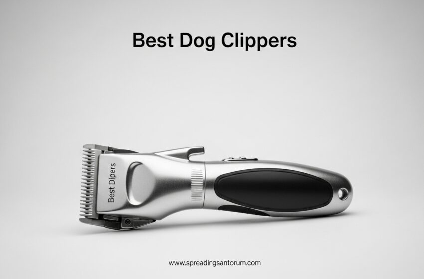  12 Best Dog Clippers (June 2026) Models Tested