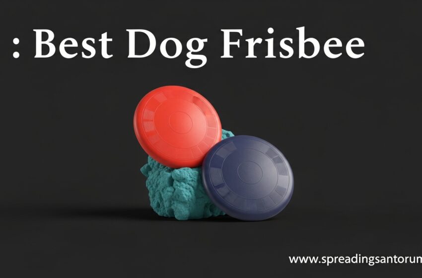  12 Best Dog Frisbee (June 2026) Tested by Dog Owners