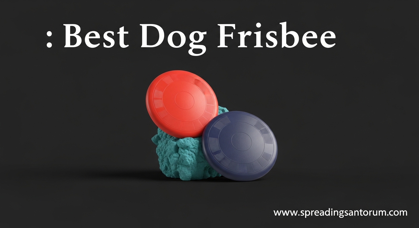 12 Best Dog Frisbee (August 2026) Tested by Dog Owners