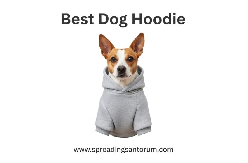  12 Best Dog Hoodie (June 2026) Tested for Perfect Fit