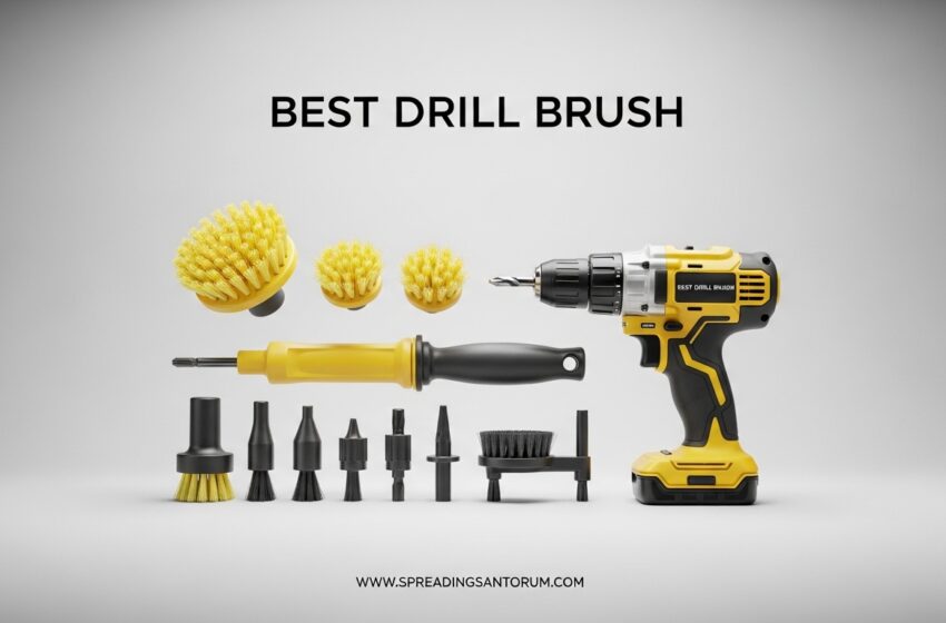  10 Best Drill Brush (June 2026) Tested
