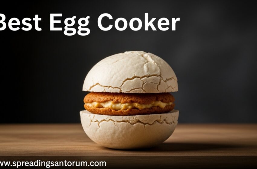  8 Best Egg Cooker (June 2026) Perfect Eggs Tested