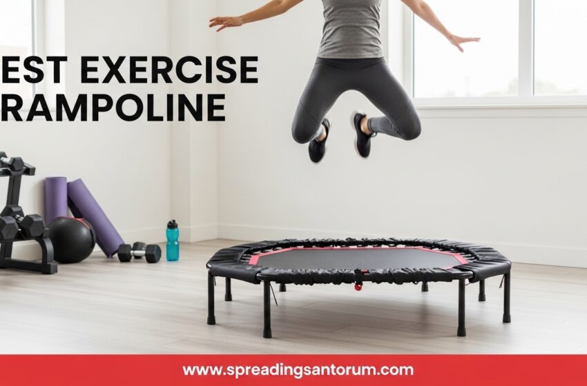  10 Best Exercise Trampoline (June 2026) Home Fitness