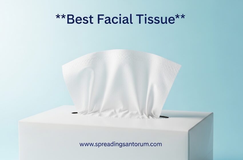  10 Best Facial Tissue (June 2026) Budget Options Tested