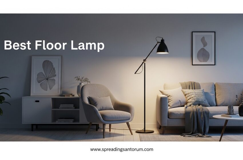  10 Best Floor Lamp (June 2026)  Every Room & Budget
