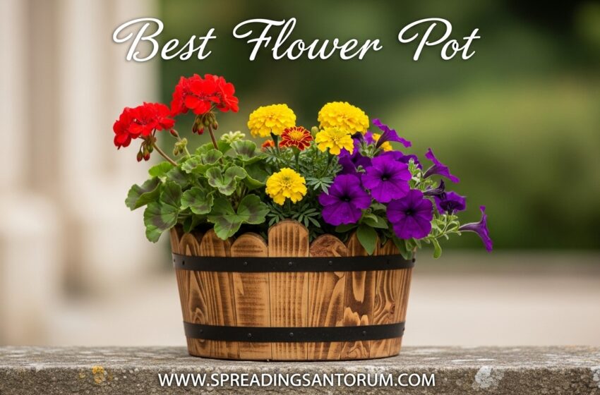  10 Best Flower Pot (June 2026) Planters Tested