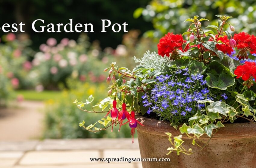  11 Best Garden Pot (June 2026) Planters Tested