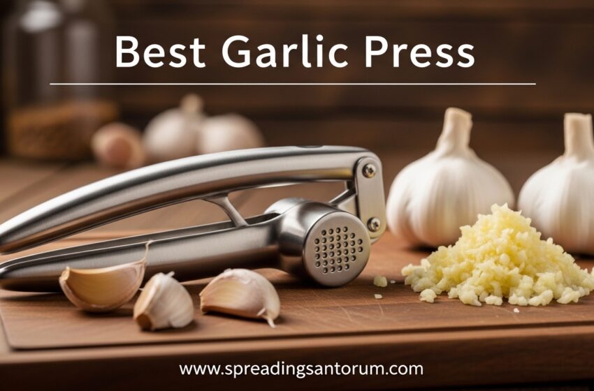  8 Best Garlic Press (June 2026) Tested & Reviewed