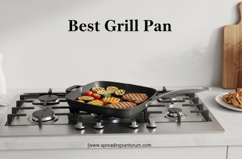  8 Best Grill Pan (June 2026) Models Tested