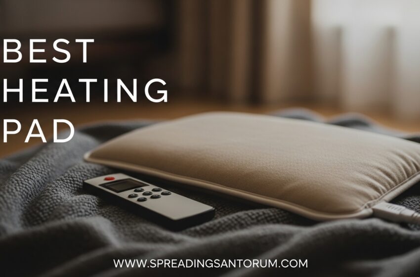  10 Best Heating Pad (June 2026) Models Tested