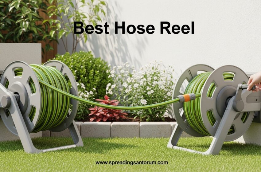  8 Best Hose Reel (June 2026) Models Tested