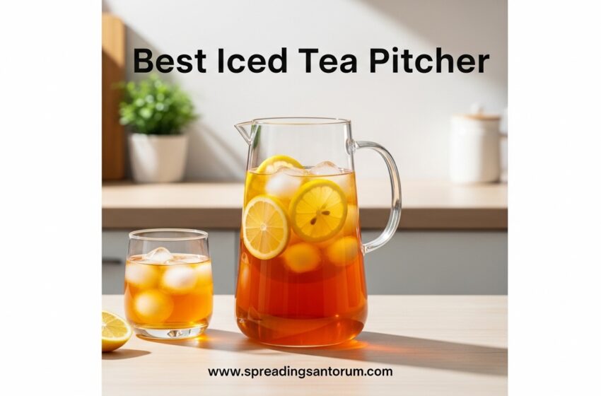  8 Best Iced Tea Pitcher (June 2026) Tested & Compared