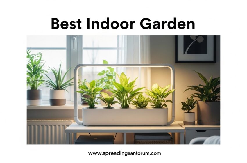  10 Best Indoor Garden (June 2026) Systems Tested