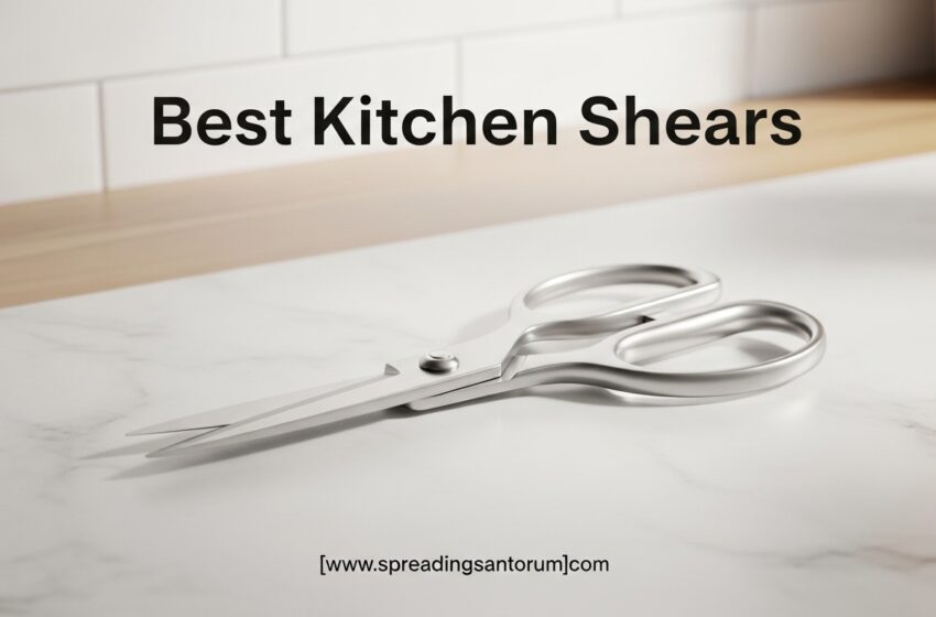  10 Best Kitchen Shears (June 2026) Pairs Tested