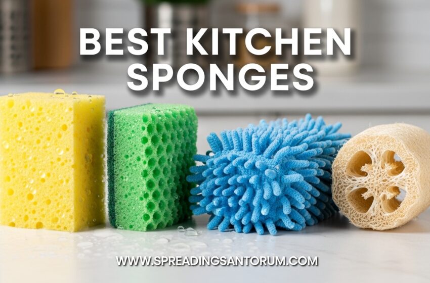  12 Best Kitchen Sponges (June 2026) Sponges Tested