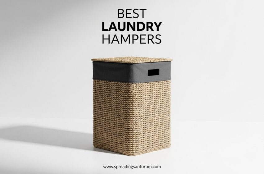  12 Best Laundry Hampers (June 2026) Models Tested