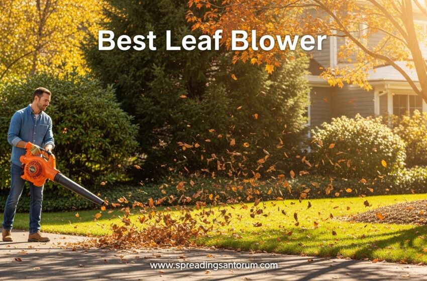  10 Best Leaf Blower (June 2026) Models Tested