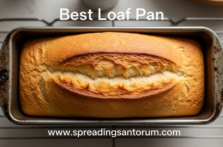  10 Best Loaf Pan (June 2026) Perfect Bread Tested